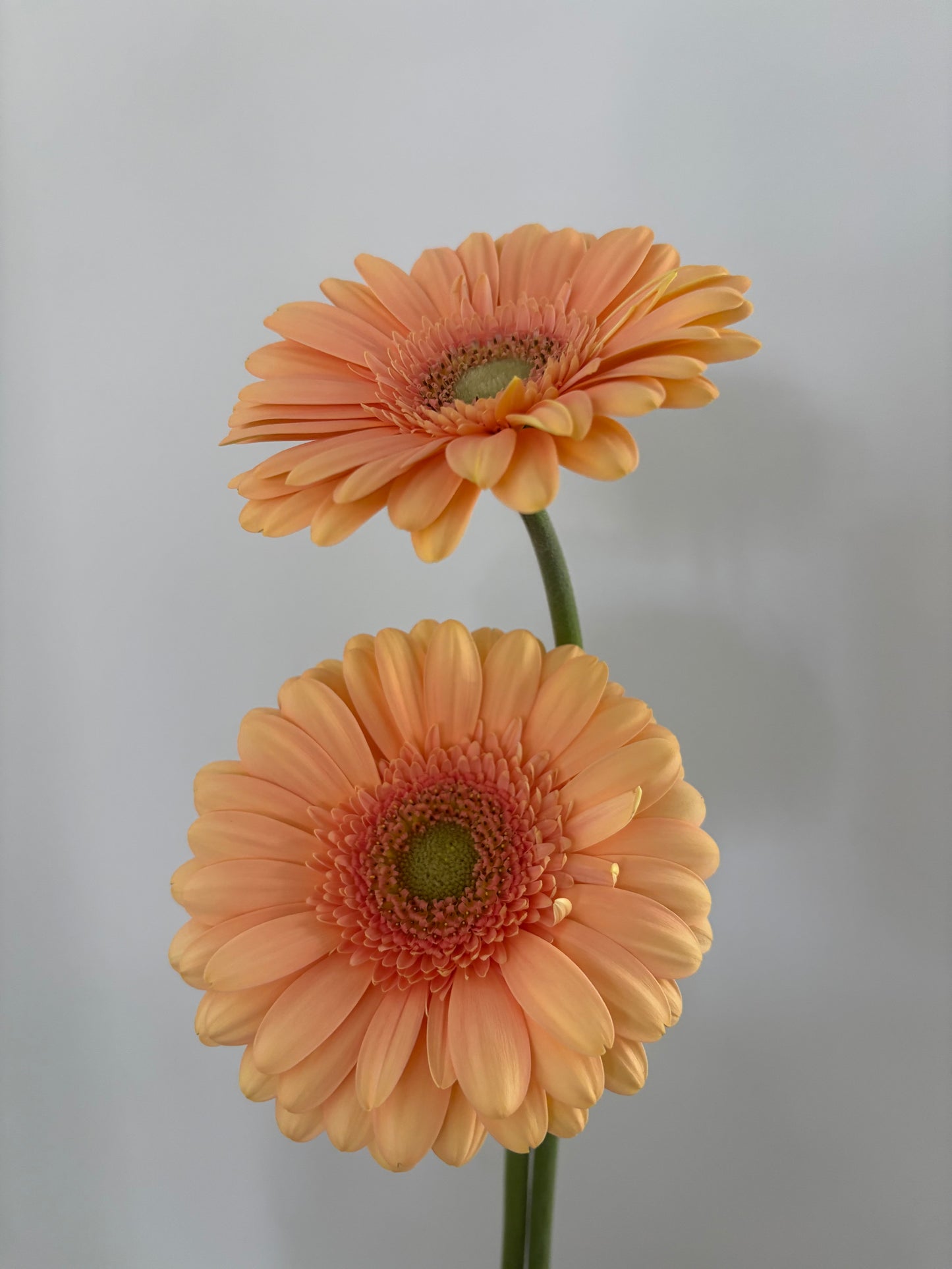 Sunset Bliss Bouquet