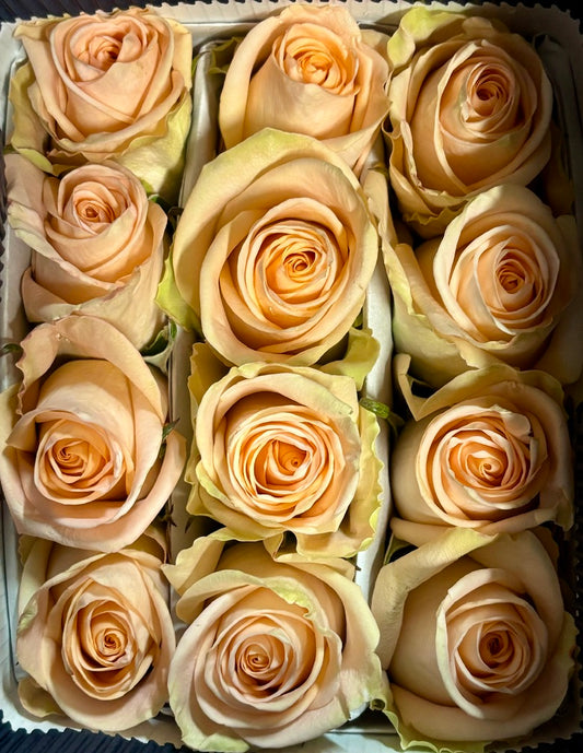 Garden Rose Bunch