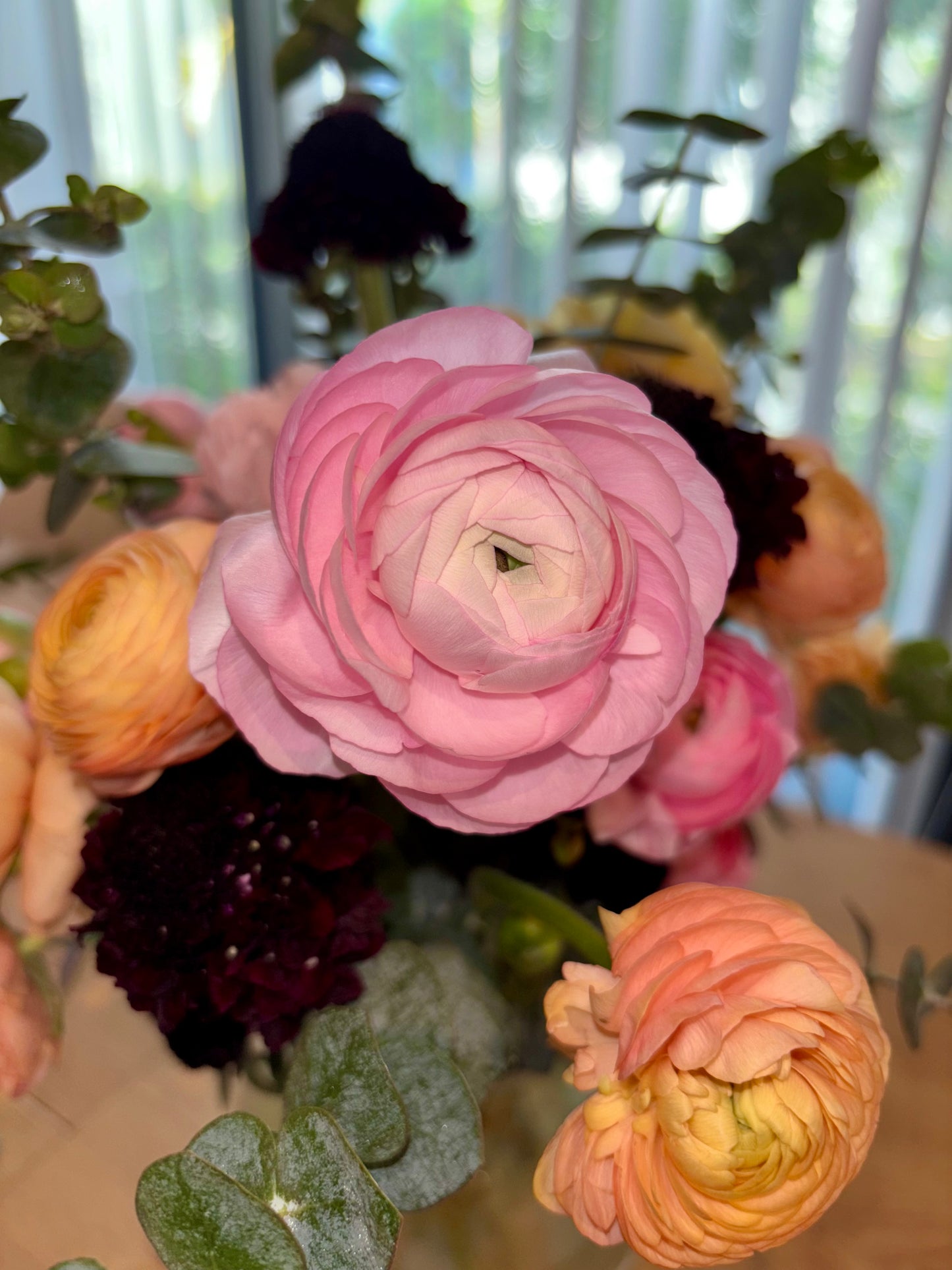 Sweet Ranunculus