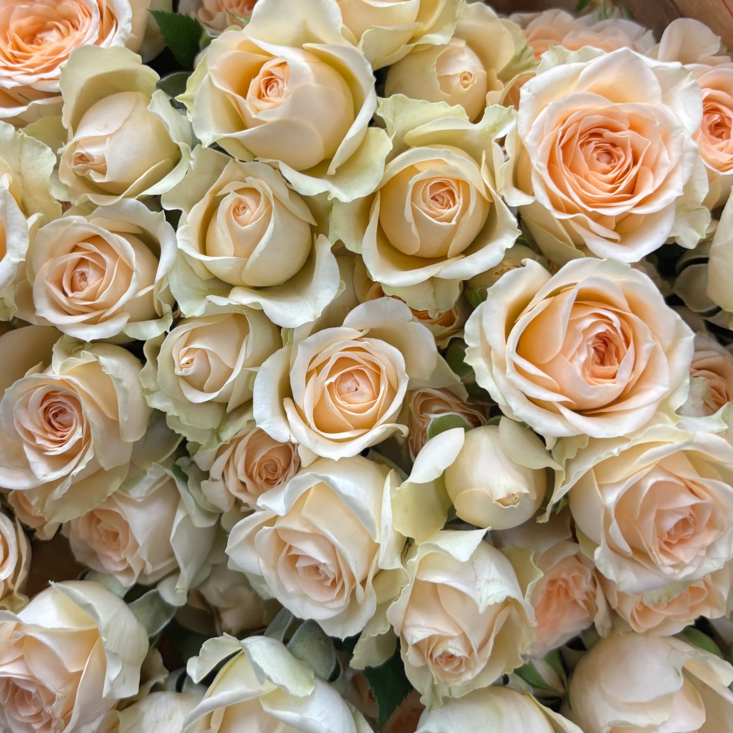 Champagne Peach Spray Rose Bouquet