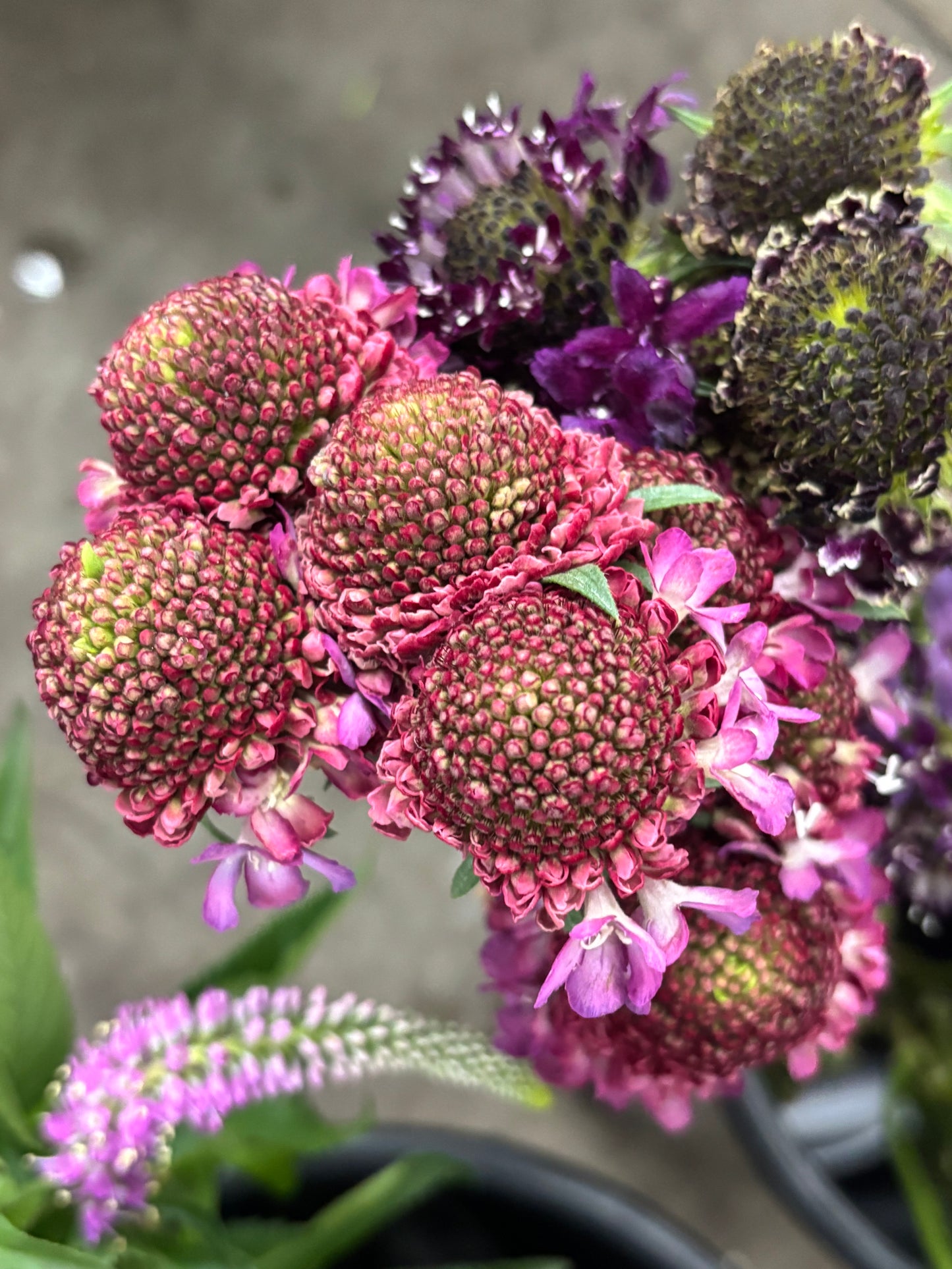 Pincushions