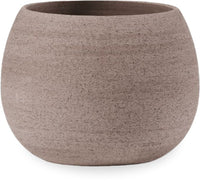 Agave erasmo planter