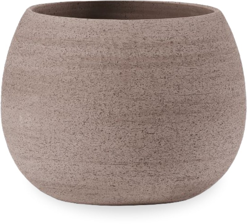 Agave erasmo planter