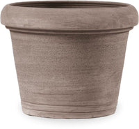 Agave querceto planter