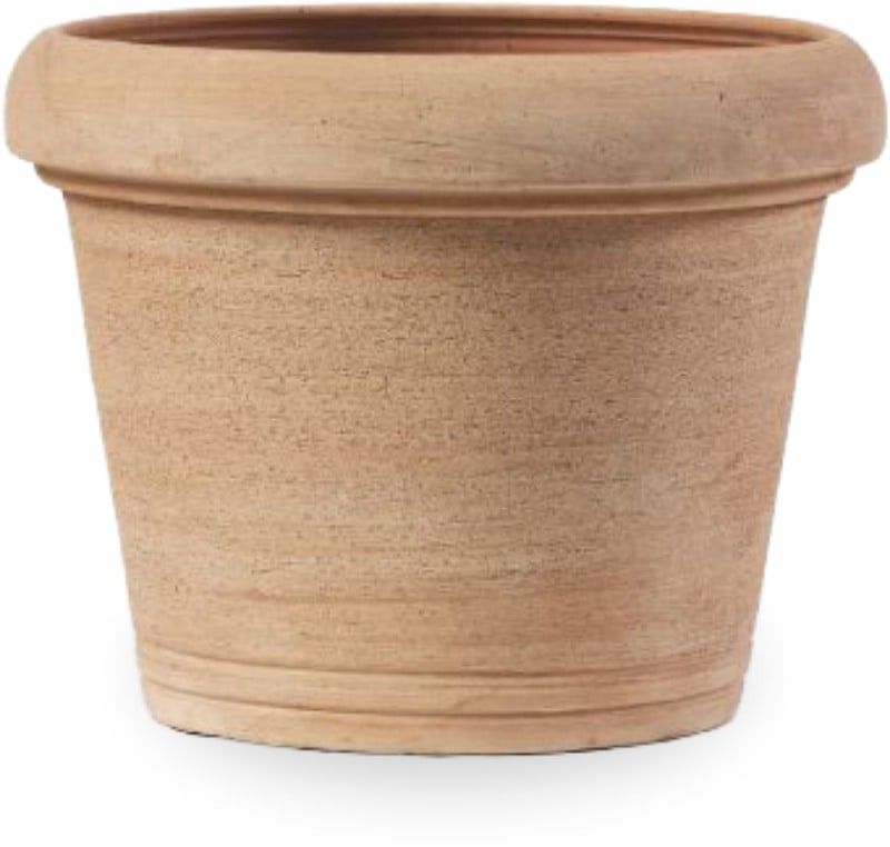 Agave querceto planter