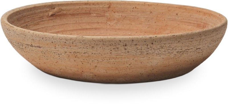 Agave saucer