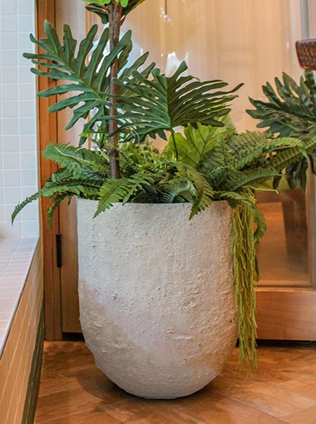 Alba egg pot
