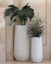 Areia valge planter