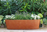 Barro medium. oblong pot with iron handles