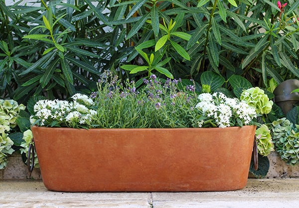 Barro medium. oblong pot with iron handles