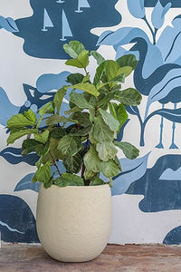 Brisa short planter, sand