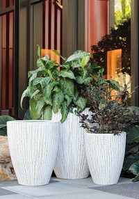 Caliza bark texture belly pot