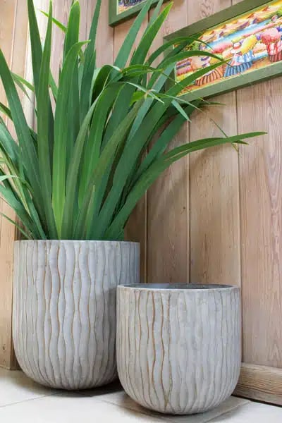 Caliza tall waved footed round pot