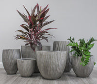 Caliza waved belly pot