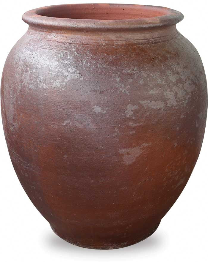 Carbón bellied urn