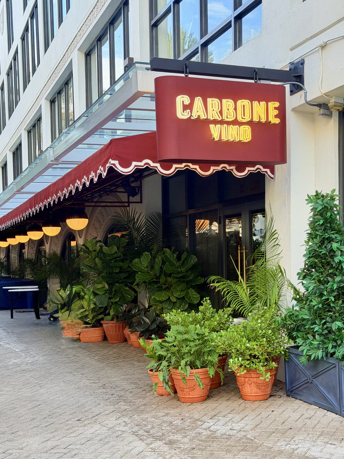 Carbone Vino