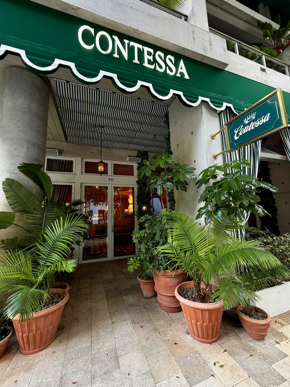 Contessa