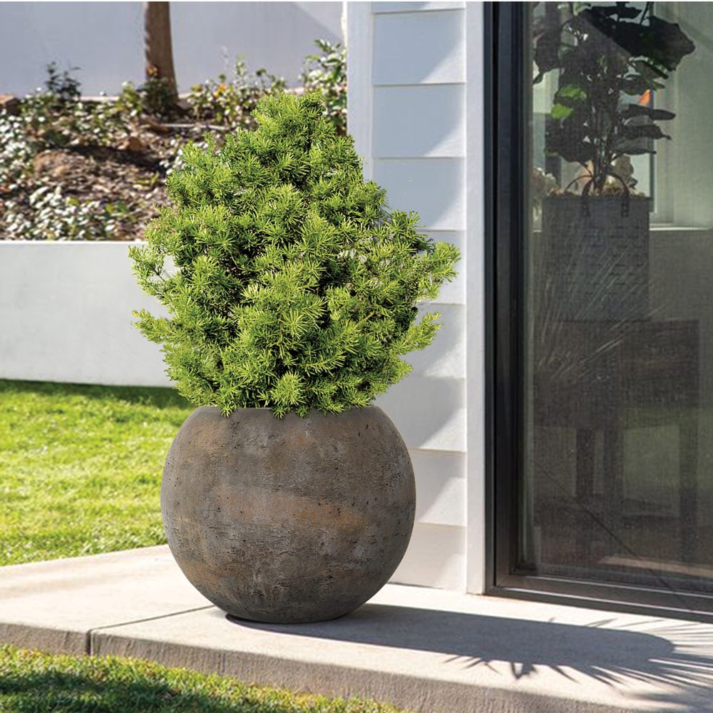 Costa ro cement ball planter