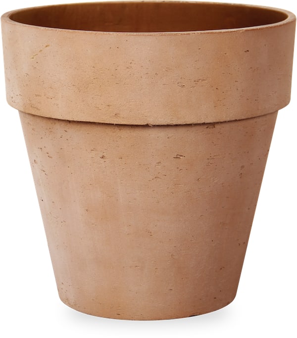 Costa shenai ro cement planter