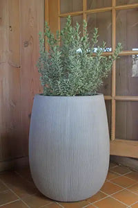Dique tall round pot
