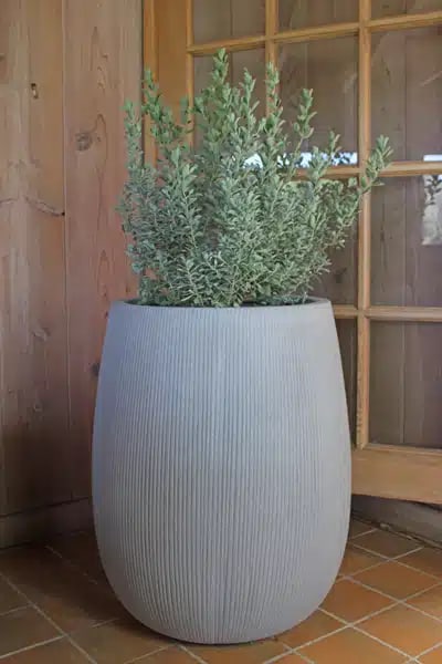 Dique tall round pot