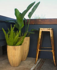 Hierba water tall pot
