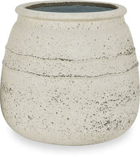 Jade puti planter