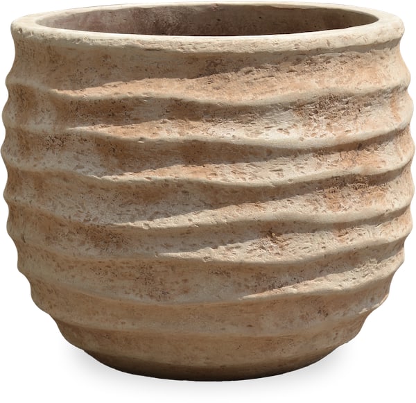 Loma betula planter