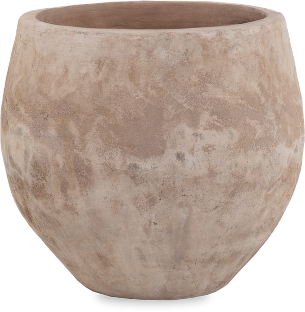 Loma calis planter