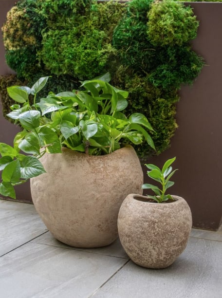 Loma charm planter