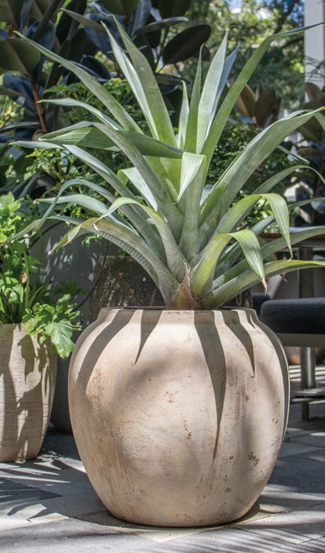 Loma medium pot