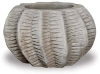 Loma mini cactus planter