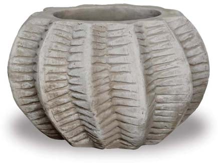 Loma mini cactus planter