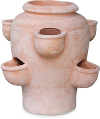 Loma mirage strawberry planter
