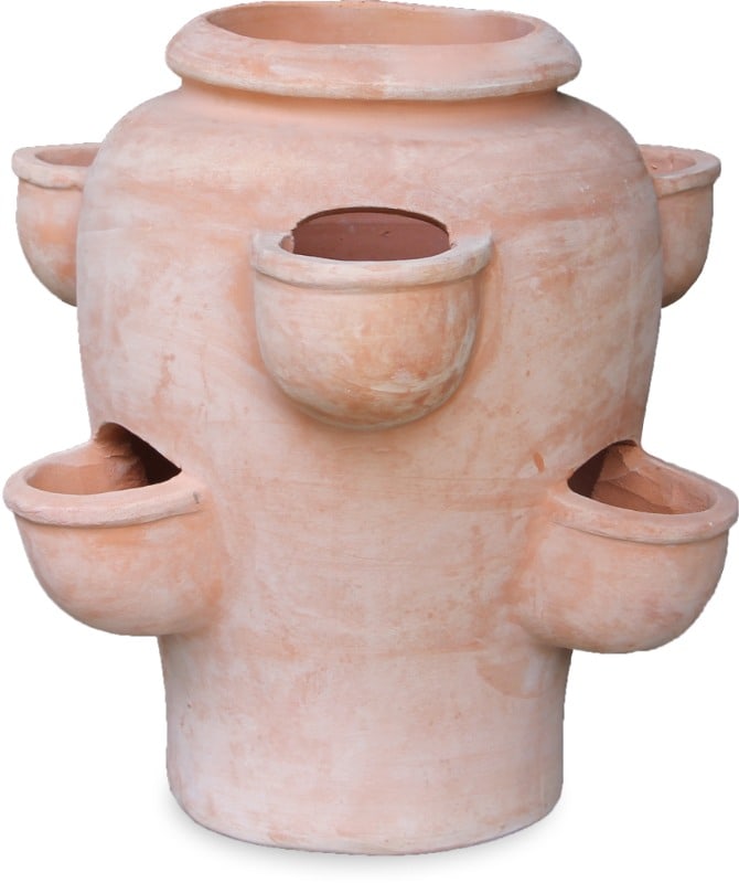 Loma mirage strawberry planter