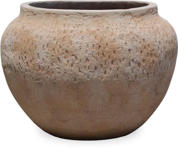 Loma phlox planter
