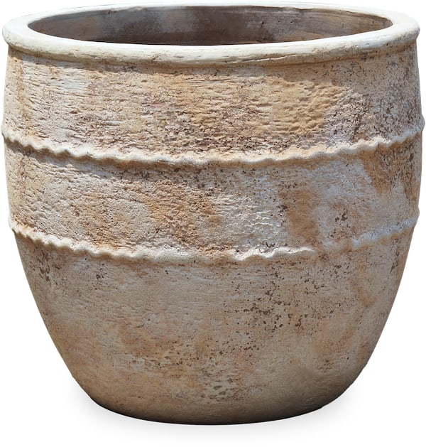 Loma pinto planter