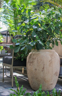 Loma round belly planter