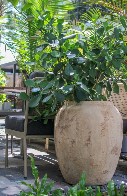 Loma round belly planter