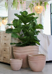Loma round waved planter