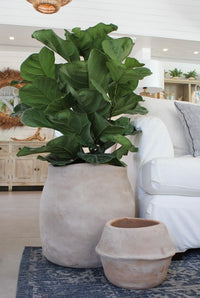 Loma short round planter