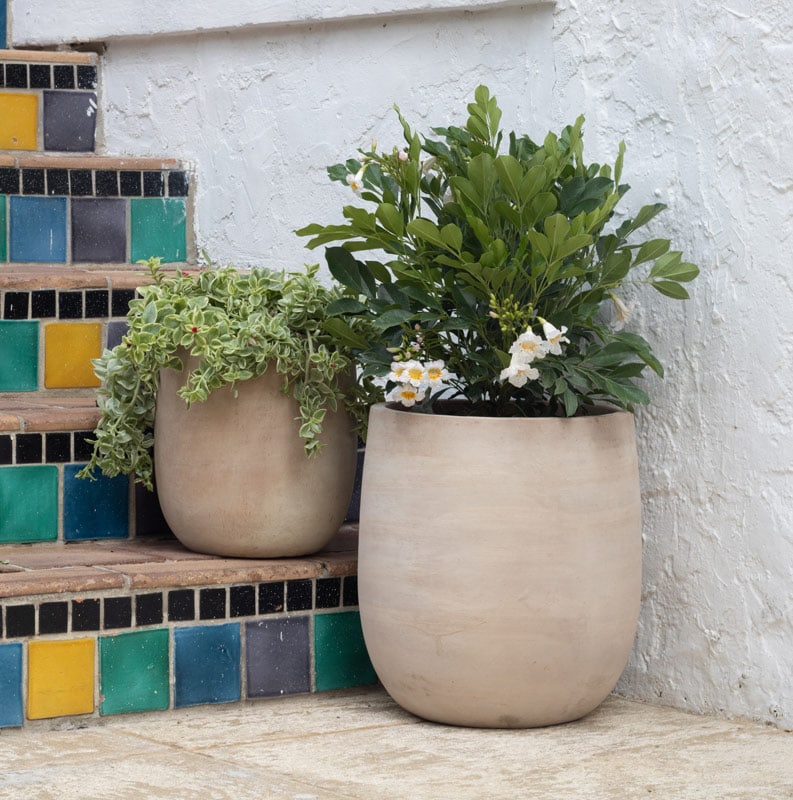Loma tall egg planter