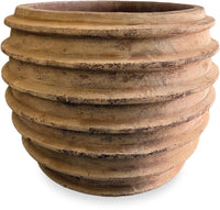 Loma terrastrata planter