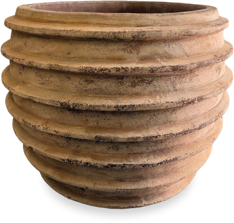 Loma terrastrata planter