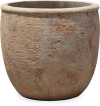 Loma thuja planter