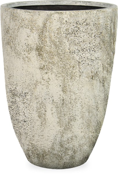 Marisma groot planter