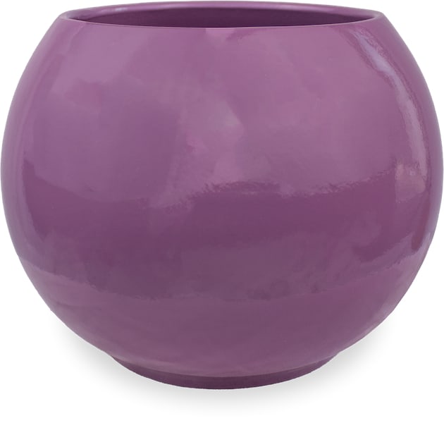 Noche planter, purple