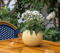 Noche planter, yellow