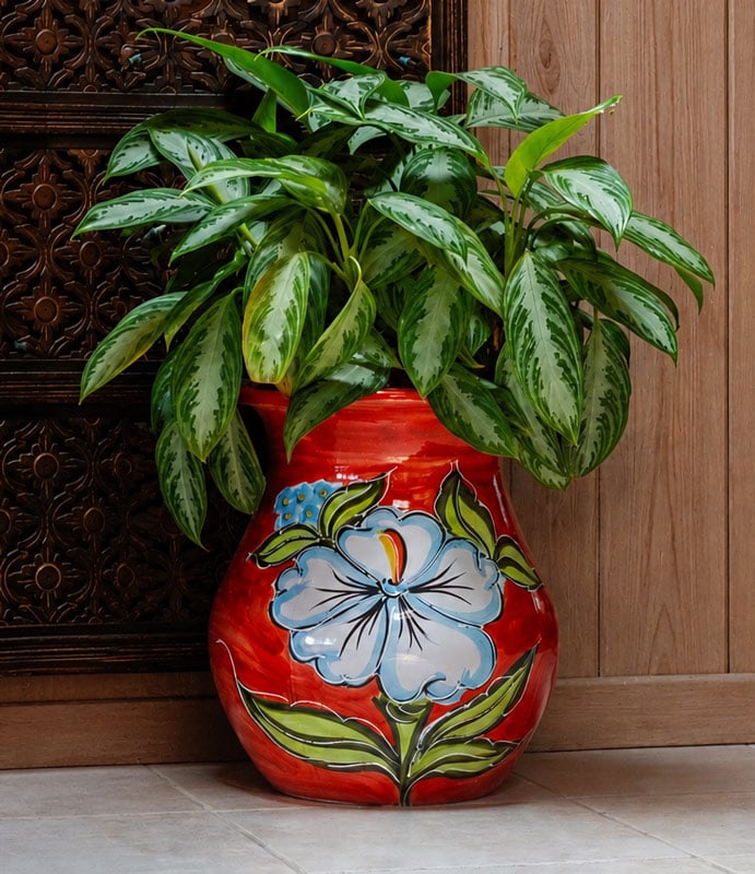 Patio tinaja jar, salamanca
