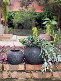 Prado ball hand painted planter, brown